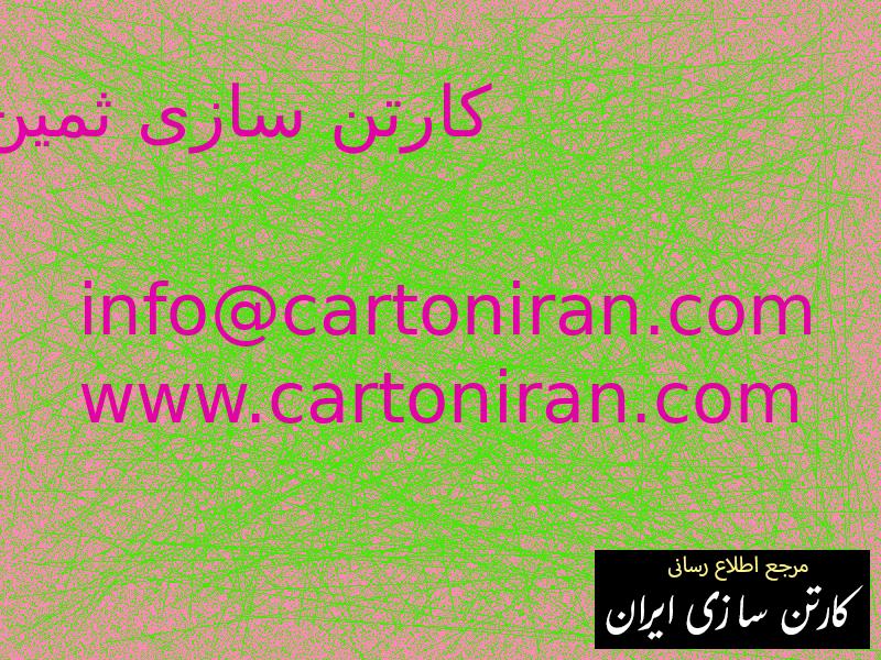 کارتن سازی ثمین